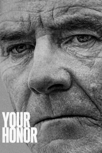 Your Honor Cover, Poster, Your Honor DVD